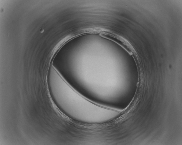 X0000087550946200704270945