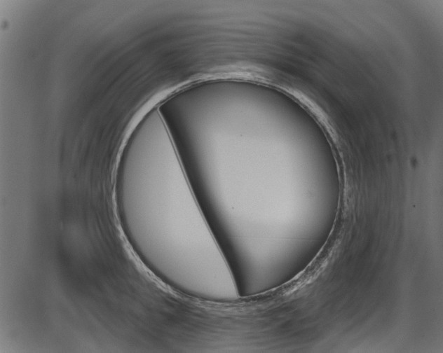 X0000087550949200704270945