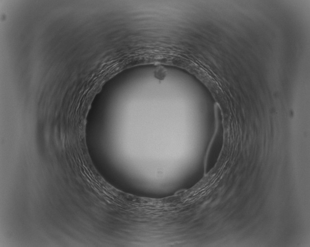 X0000087550961200704270945