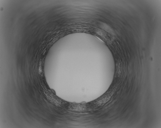X0000087550962200704270945
