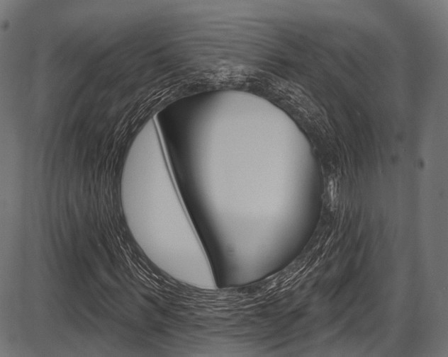 X0000087550963200704270945