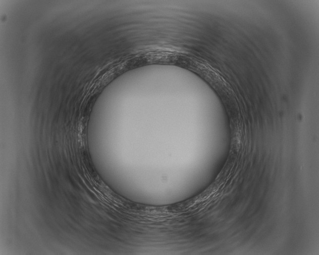 X0000087550964200704270945