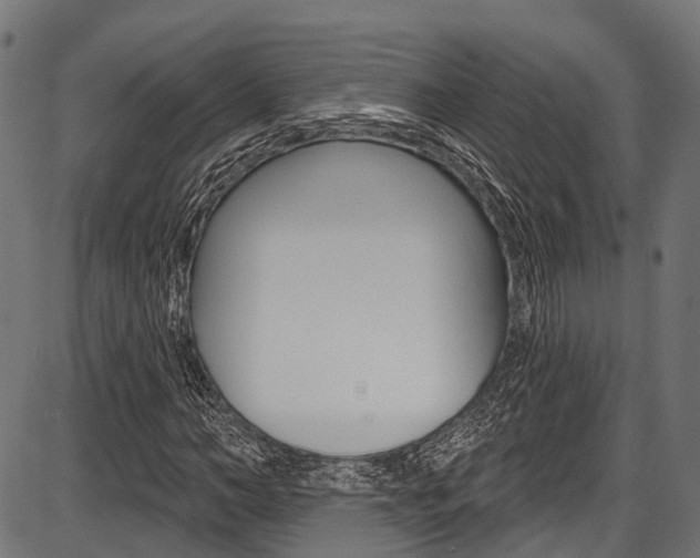 X0000087550966200704270945