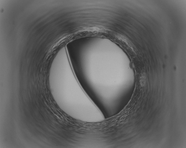 X0000087550968200704270944