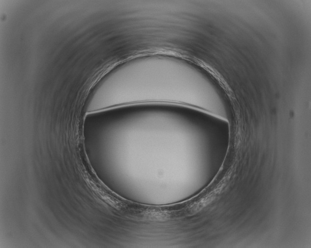 X0000087550977200704270944