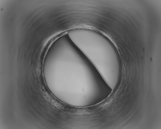 X0000087550979200704270944