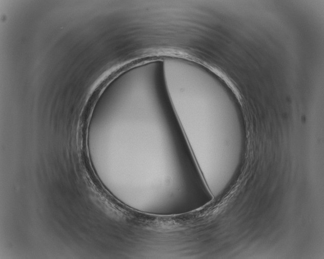 X0000087550983200704270944