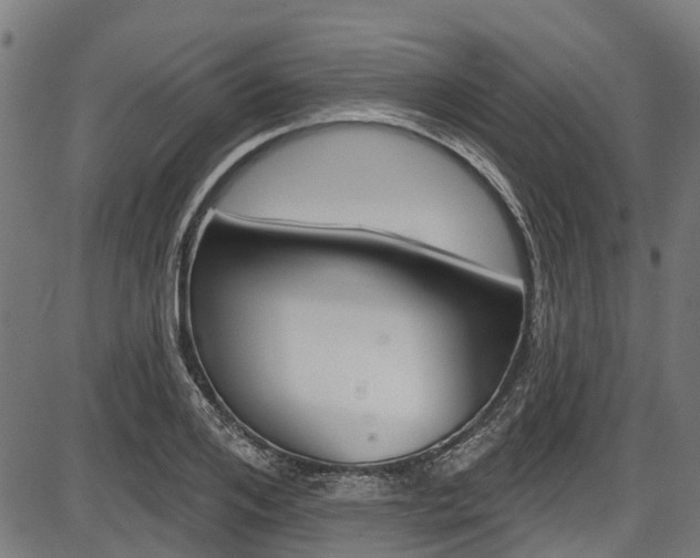 X0000087550984200704270944