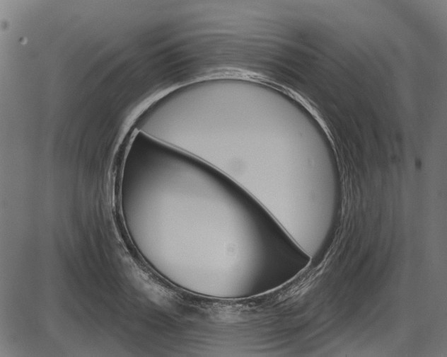 X0000087550987200704270944