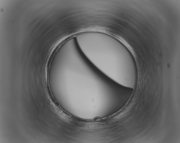 X0000087550988200704270944