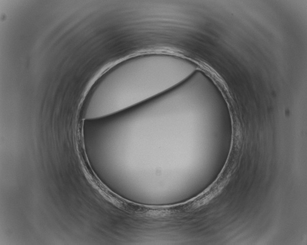 X0000087550989200704270944