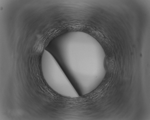 X0000087551009200704270943