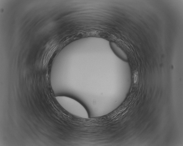 X0000087551011200704270943