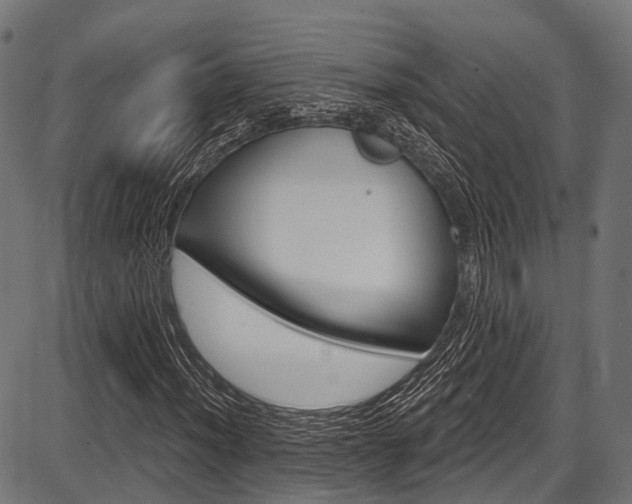 X0000087551012200704270943