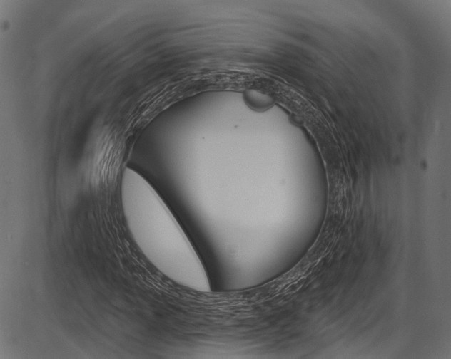 X0000087551013200704270943