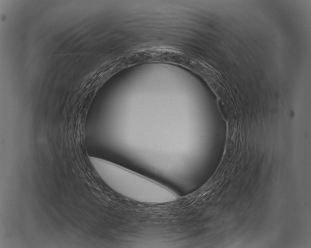 X0000087551014200704270943