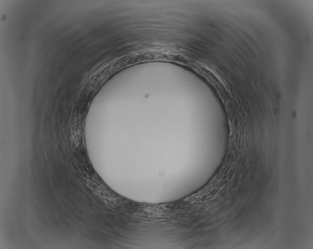 X0000087551015200704270943