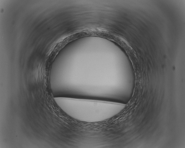 X0000087551016200704270943