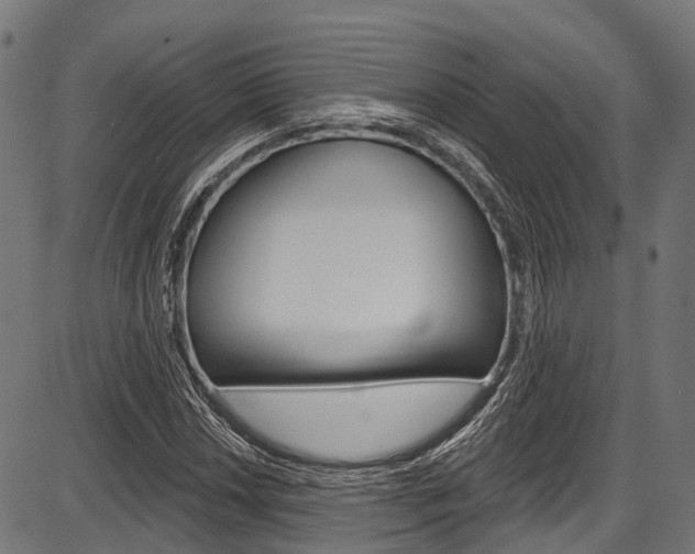 X0000087551018200704270943