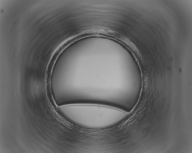 X0000087551020200704270943