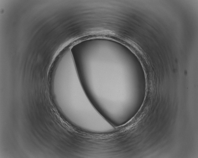 X0000087551022200704270943