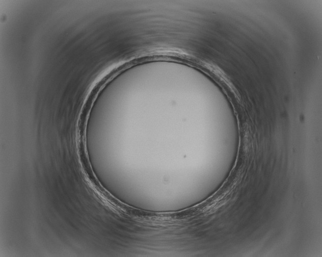 X0000087551024200704270943