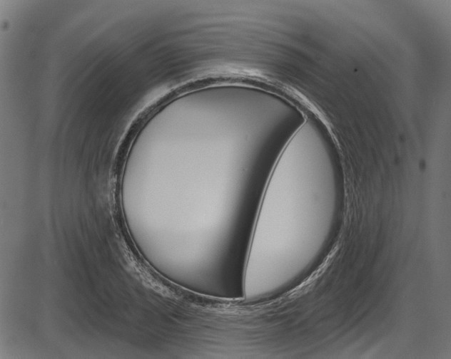 X0000087551029200704270943