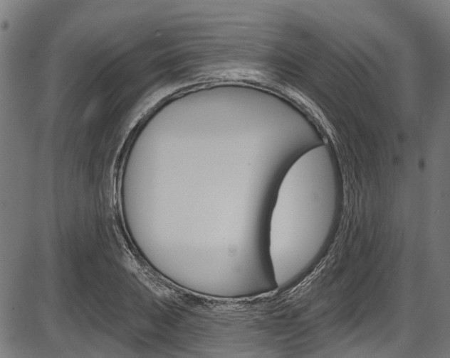 X0000087551031200704270943