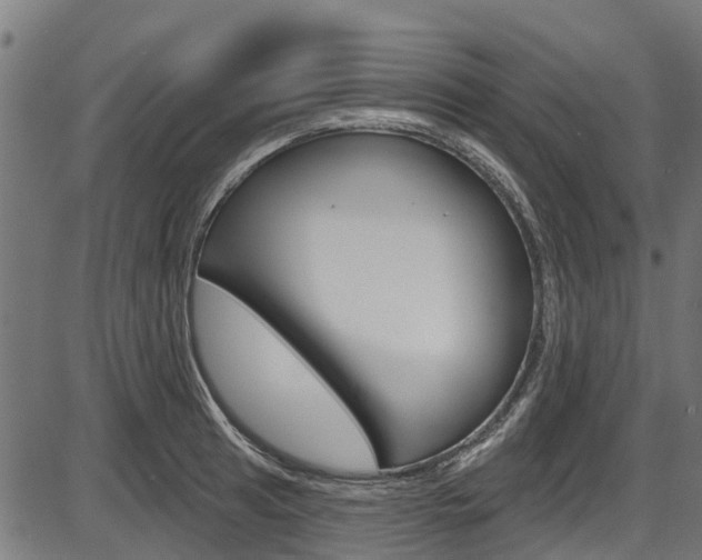 X0000087551041200704270944