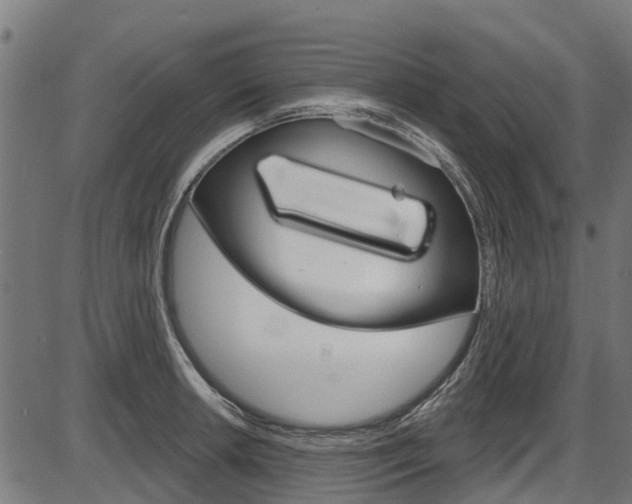 X0000087551042200704270944