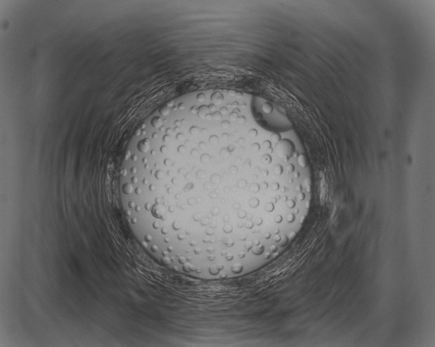 X0000087551059200704270943
