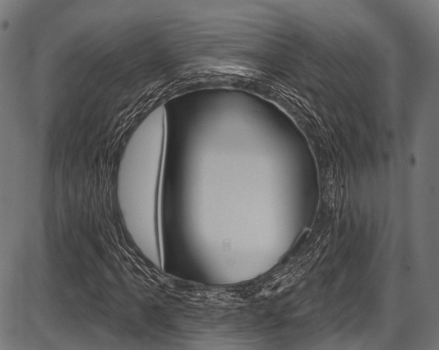 X0000087551061200704270943
