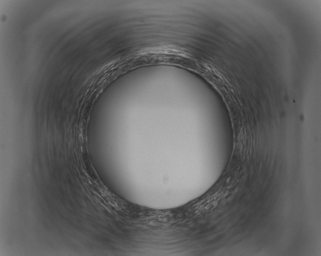 X0000087551062200704270943