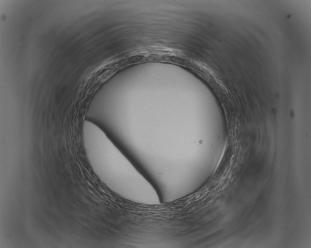 X0000087551063200704270943