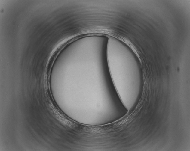 X0000087551072200704270943