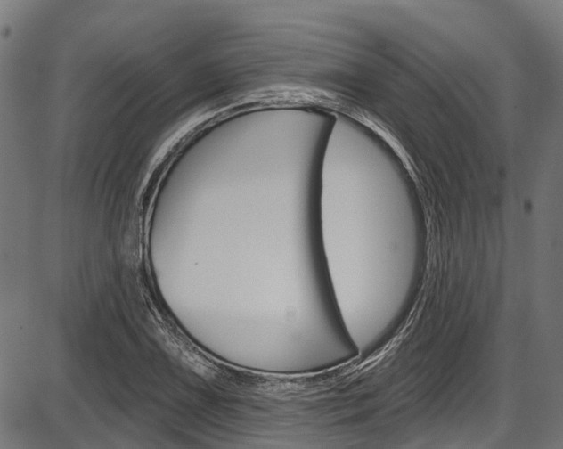 X0000087551075200704270943