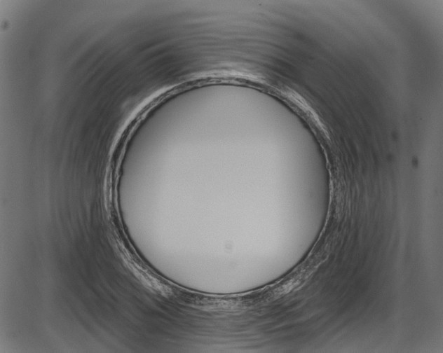 X0000087551076200704270943