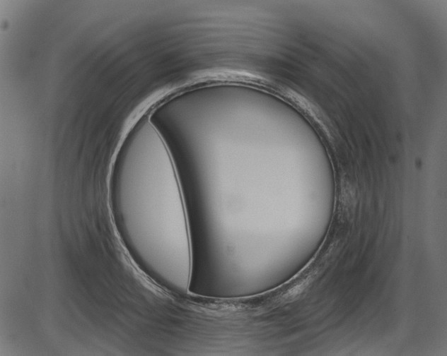 X0000087551082200704270943