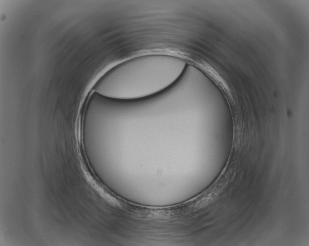 X0000087551084200704270943
