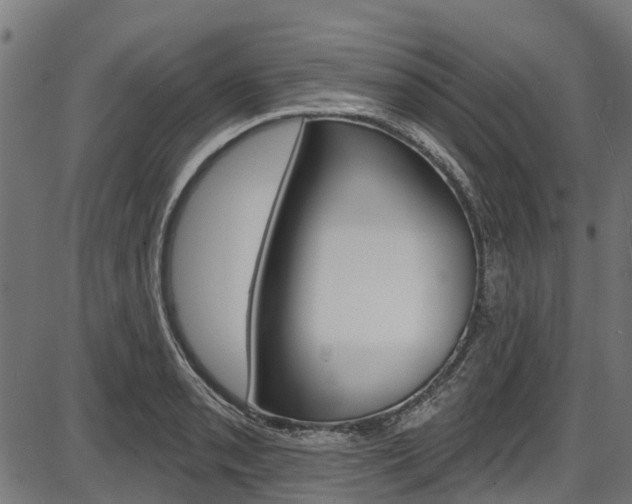 X0000087551085200704270943