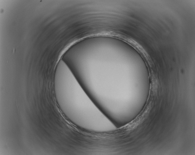 X0000087551097200704270942