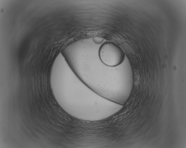 X0000087551106200704270942