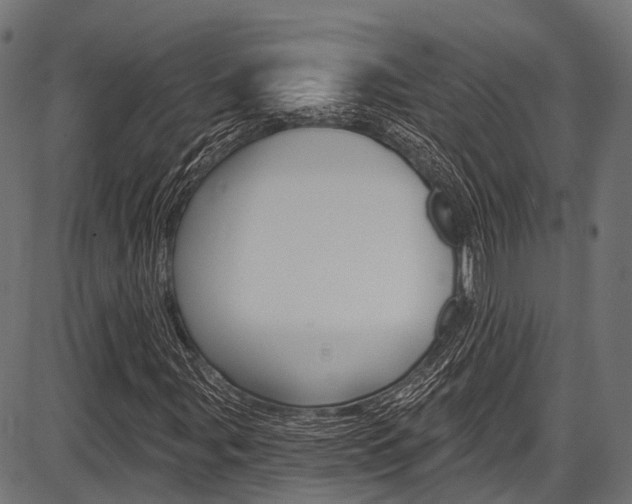 X0000087551107200704270942