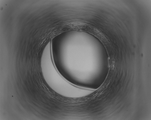 X0000087551108200704270942