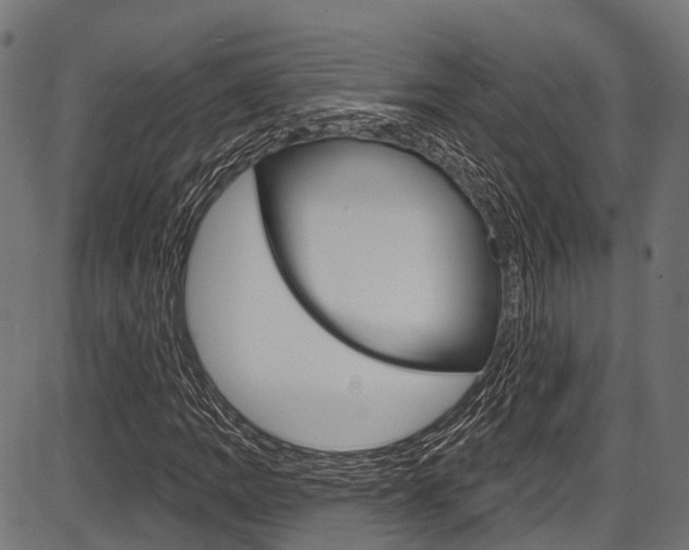 X0000087551109200704270942