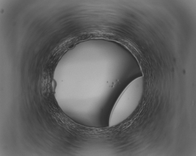 X0000087551111200704270942