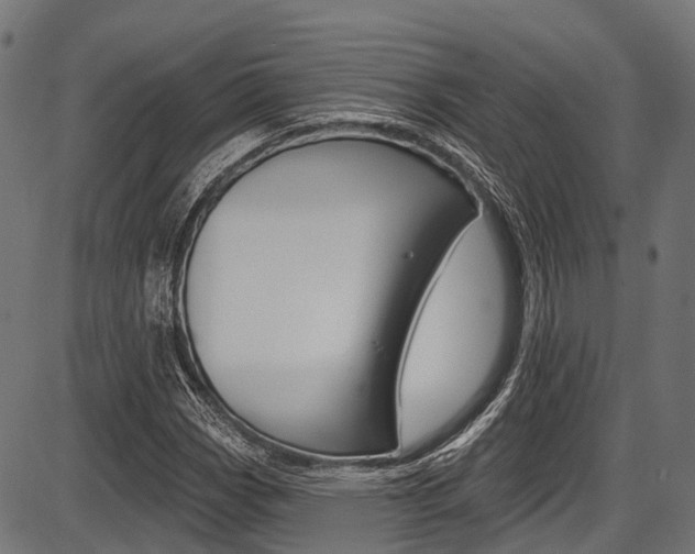 X0000087551113200704270942