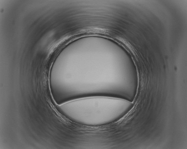 X0000087551115200704270942