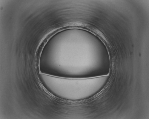 X0000087551116200704270942