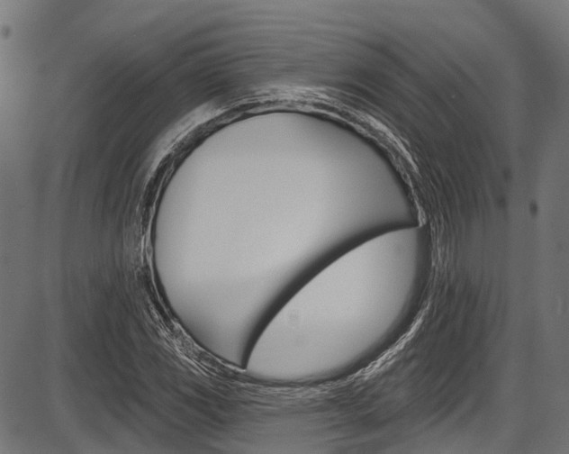 X0000087551117200704270942